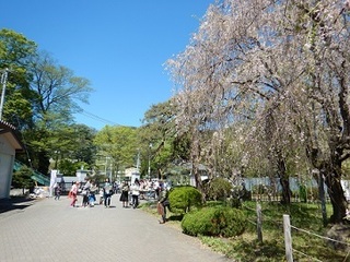 DSCN0448.JPG