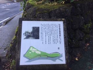 image1.JPG