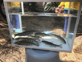 image1.jpeg