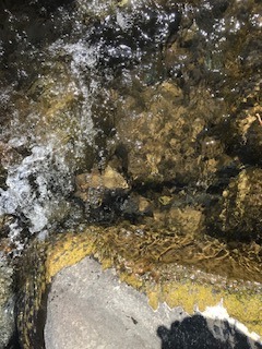 image3.jpeg