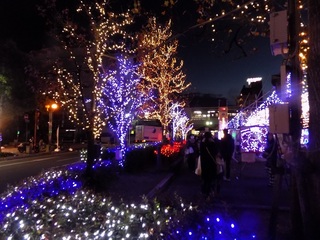 DSCN0986.jpg