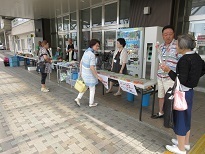 ガーベラ8518.jpg