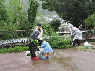 IMG_0451.jpg