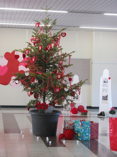IMG_1450.JPG
