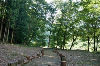 IMG_1505.jpg