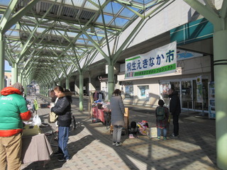 IMG_3265.JPG