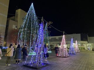 IMG_3556.jpg