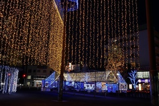 IMG_3573.JPG