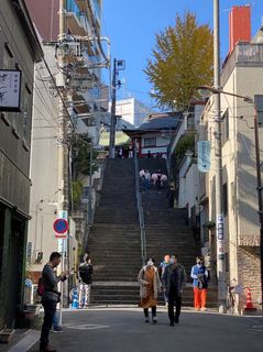 IMG_3652j.jpg