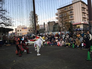IMG_5167.jpg