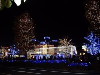 IMG_5193.JPG