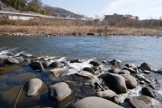 IMG_5354.jpg