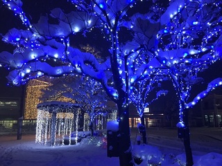 IMG_6456.JPG