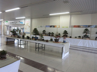 IMG_6555.JPG