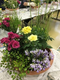 IMG_7795.jpg