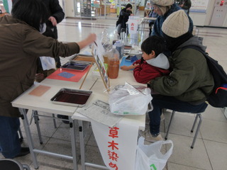 IMG_7911.JPG