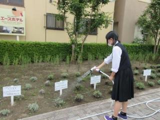 IMG_8476005.JPG