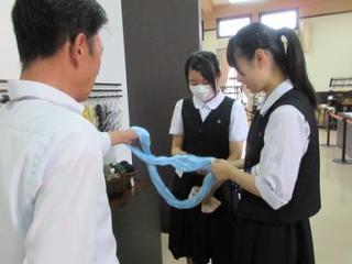 IMG_8491003.JPG