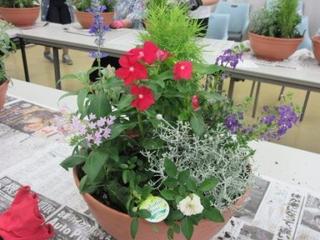 IMG_8509001.JPG