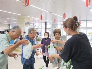 IMG_8681.JPG