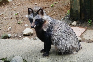 IMG_9600.jpg