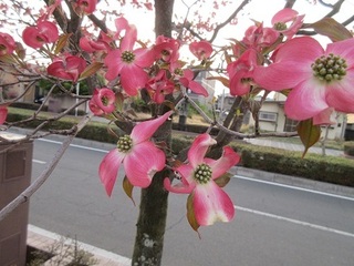 IMG_9779.JPG