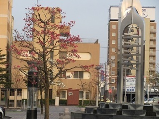 IMG_9788.JPG
