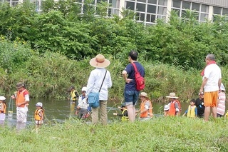P1000434.jpg