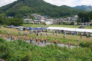 P1000444.jpg
