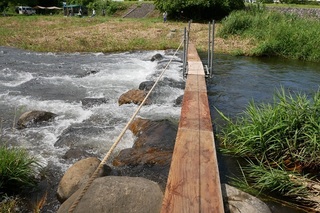 P1000452.jpg