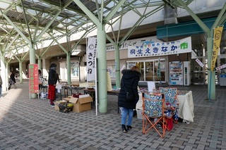 P1030336.jpg