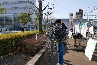 P1030445.jpg